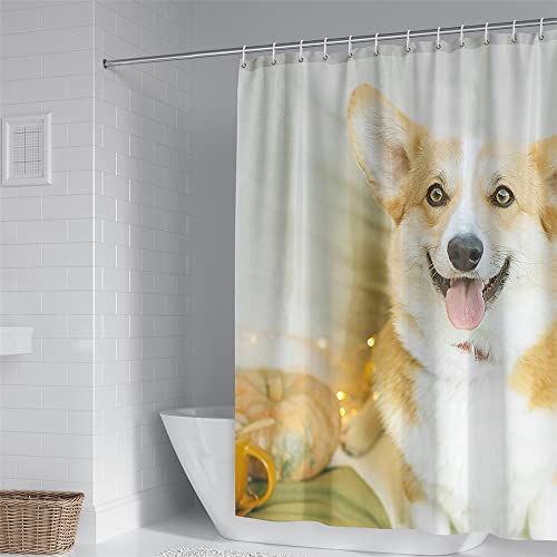 Hixingo Wasserdicht Duschvorhang 3D Corgi, Blickdicht Duschvorhänge mit 12 Duschvorhängeringen Duschvorhang Waschbar Duschvorhang Set für Familie (180x180cm,EIN Corgi) von Hixingo