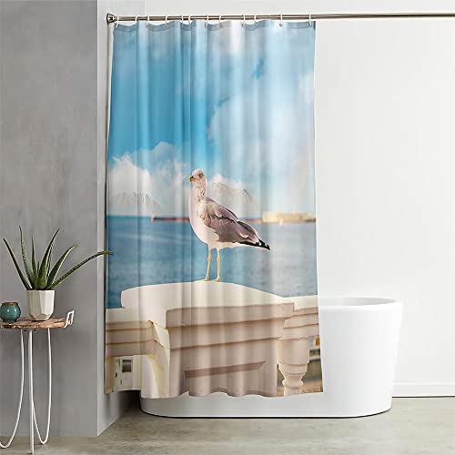 Hixingo Wasserdicht Duschvorhang 3D Möwe Blickdicht Duschvorhänge mit 12 Duschvorhängeringen Duschvorhang Waschbar Duschvorhang Set für Badezimmer Badewanne (180x200cm,HD-Möwe) von Hixingo