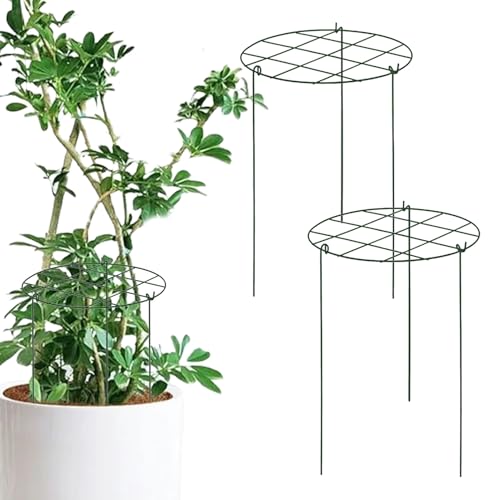 Klettergerüst Garten Rankhilfe Set Rankhilfe Rahmen geeignet Einfach einzuführen 40x30cm für Topfpflanzer Anzucht Hochgemüse von Hjatirace