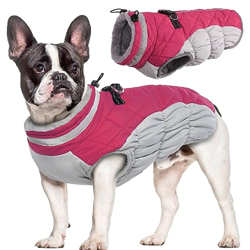 Hjumarayan Hundemantel für Kleine Hunde - Hundemantel Winter Hundemantel mit Geschirr Wintermantel Hund Wasserdicht Hunde Mantel Gefüttert, Hundemantel Französische Bulldogge Chihuahua (Rose L) von Hjumarayan