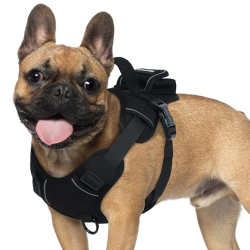 Hjumarayan Hundegeschirr Französische Bulldogge, Geschirr Hund Gepolstert Hundegeschirr mit Griff, Brustgeschirr Hund mit Oxford-Gewebe Eflektierende Streifen für Tägliche Spaziergänge, Schwarz S von Hjumarayan