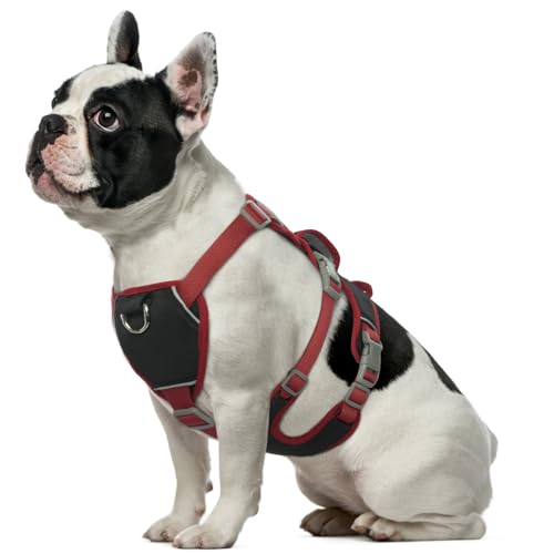 Hjumarayan Hundegeschirr Mittelgroße Hunde - Reflektierende Geschirr Hund Wasserdicht Sicherheitsgeschirr Hund mit Griff, Hunde Geschirrset Verstellbare Brustgeschirr Hund, Schwarz S Hjumarayan Hundegeschirr Mittelgroße Hunde - Reflektierende Geschirr Hund Wasserdicht Sicherheitsgeschirr Hund mit Griff, Hunde Geschirrset Verstellbare Brustgeschirr Hund, Schwarz S von Hjumarayan
