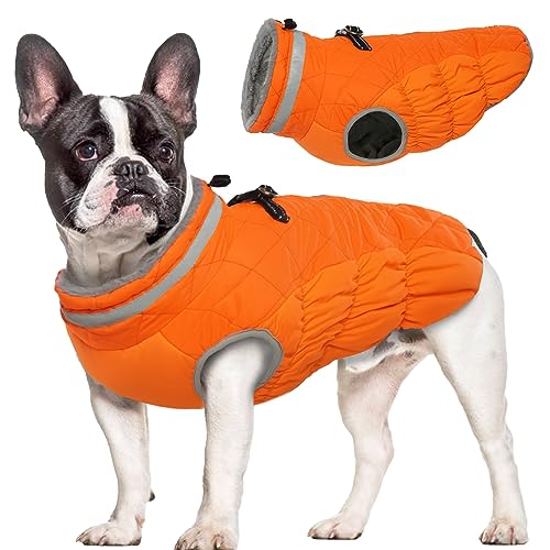 Hjumarayan Hundemantel für Kleine Hunde - Winter mit Geschirr Wintermantel Wasserdicht Mantel Gefüttert, Französische Bulldogge Chihuahua (Orange XS) von Hjumarayan