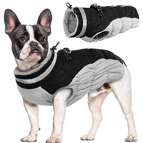 Hjumarayan Hundemantel für Kleine Mittelgroße Grosse Hunde, Hundemantel Winter Warme Hundejacke Wintermantel Hund Wasserdicht Hunde Mantel Gefüttert, Chihuahua Kleidung Winter (Schwarz XS) von Hjumarayan