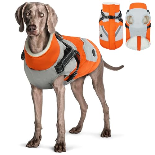 Hjyokuso Wasserdichter Hundemantel, Hundejacke mit Geschirr, Hundejacken für kleine Mittel Große Hunde, Winddichte Haustierkleidung Outfit mit Reflektierender Streifen und Reißverschluss - Orange 2XL von Hjyokuso