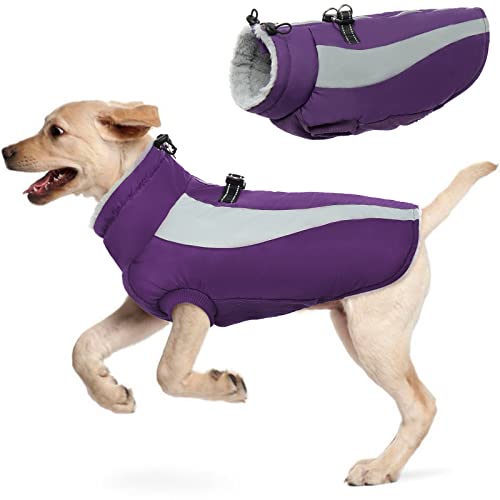 Hjyokuso Hundemantel Wasserdicht, Hunde Wintermantel, Hundejacke für Kleine Mittel Große Hunde, Winddichte Hundekleidung Winterjacke mit Reflektierender Streifen und Reißverschluss - Lila XL von Hjyokuso