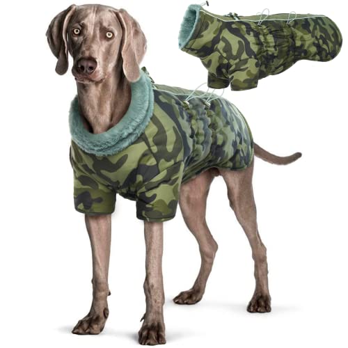 Hjyokuso Wasserdichter Hundemantel Winter Warme Jacke, Hundejacken für kleine Mittel Große Hunde, Hundepullover, Winddichte Wintermantel Hund mit Reflektierender Streifen und Reißverschluss L von Hjyokuso