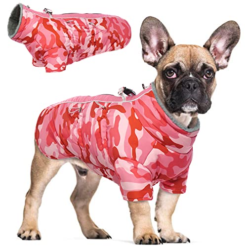 Hjyokuso Wasserdichter Hundemantel Winter Warme Jacke, Hundejacken für kleine Mittel Große Hunde, Hundepullover, Winddichte Wintermantel Hund mit Reflektierender Streifen und Reißverschluss XS von Hjyokuso