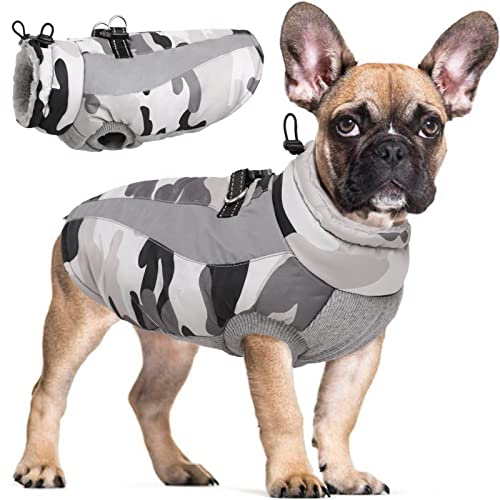 Hjyokuso Hundemantel Wasserdicht, Hunde Wintermantel, Hundejacke für Kleine Mittel Große Hunde, Winddichte Hundekleidung Winterjacke mit Reflektierender Streifen und Reißverschluss - Grau XS von Hjyokuso