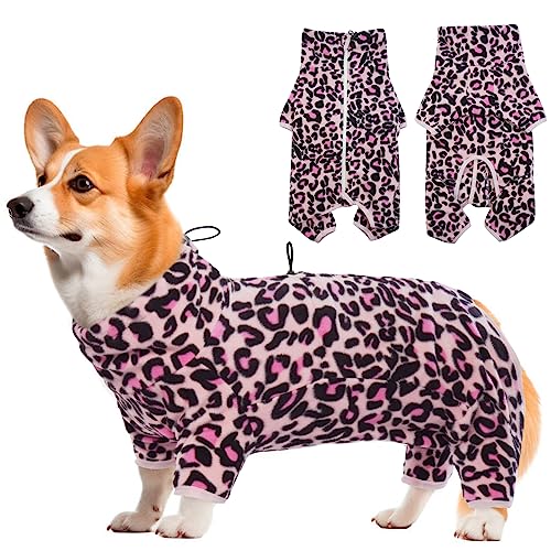 Hjyokuso Hundemantel Winter, Hundejacke, Weicher Fleece Hundepullover FüR Kleine MittelgroßE Grosse Hunde, Winddichte Haustierkleidung Outfit Mit ReißVerschluss, Chihuahua Kleidung (XXS-3Xl) von Hjyokuso