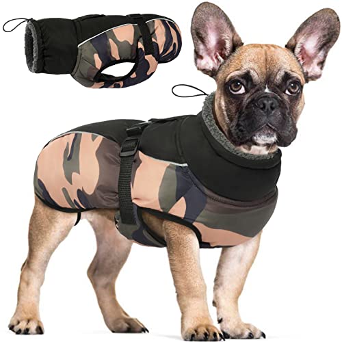 Wasserdichter Hundemantel Winter Warme Hundejacke, Hundebekleidung Outfit für kleine mittel große Hunde, Hundepullover mit Sicheren Reflexstreifen für Labrador Chihuahua Französische Bulldogge von Hjyokuso