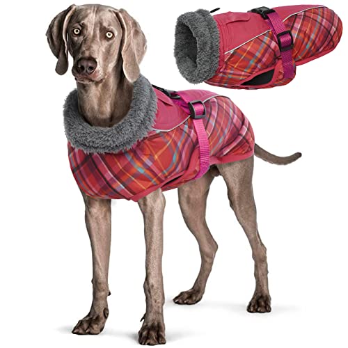 Wasserdichter Hundemantel Winter Warme Hundejacke, Hundebekleidung Outfit für kleine mittel große Hunde, Hundepullover mit Sicheren Reflexstreifen für Labrador Chihuahua Französische Bulldogge von Hjyokuso