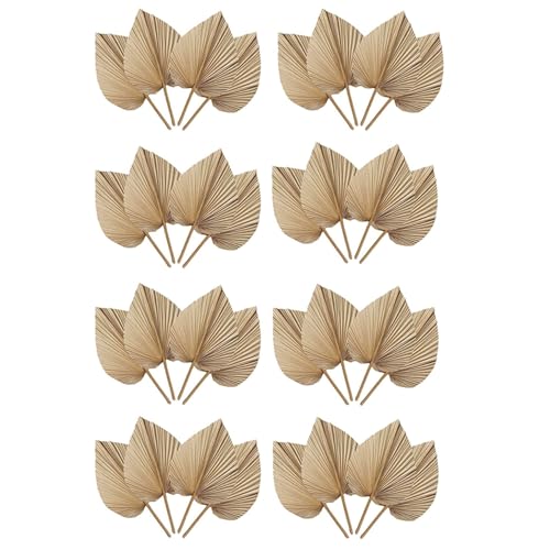 Hklshyd 32 StüCk NatüRliche Getrocknete PalmbläTter Sind Perfekt für Palmblatt-Dekoration, Boho-Dekoration, Heimdekoration, Hochzeit von Hklshyd