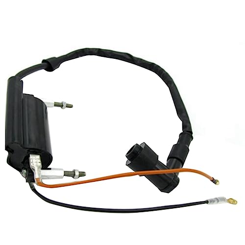 Hlennotor 1 Stück Hochspannungspaket ATV/86-04/KLF300 Zündspule 1986–2004 Ersatzteile Zubehör von Hlennotor