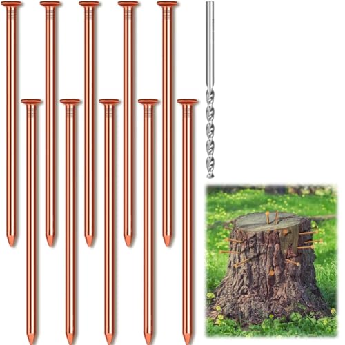 Hlennotor 10 Pcs Kupfernägel Masse 3,15, Um Bäume Stumpfwurzel mit Bohrer, Stumpfentfernung zu Töten von Hlennotor