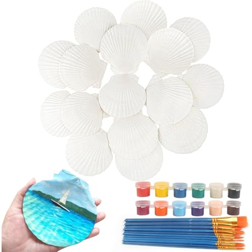 Hlennotor 16 PCs Jakobsmuschelschalen Muschel 4 "Bis 5" Große Jakobsmuscheln mit Pinsel und Acrylfarbenstreifen für Handwerksdekoration von Hlennotor