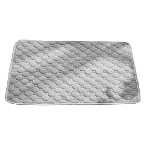 Hlennotor Anti-Schmutz-Matte f¨¹r Haustiersofa, Waschbar, wasserdichte Urinunterlage f¨¹r Hunde, Hundetrainingsmatte, Saugf?hige Matte, Haustierdecke, Bettdecke, Langlebig, Einfach zu Verwenden von Hlennotor