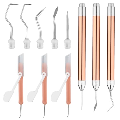 Hlennotor Vinyl Weeding Tool Set, mit 3 LED-Weeding-Stiften, 3 LED-Licht-Pinzetten, 5 Pins und Haken Beleuchtete Weeding-Werkzeuge, Einfach zu Bedienen, Langlebige Feine Verarbeitung von Hlennotor
