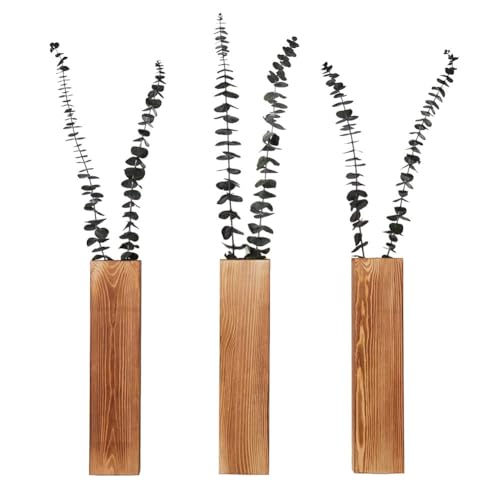 Hlennotor Wandpflanzgefäße für Zimmerpflanzen für Trockenblumen und Künstliche Grünpflanzen, Holzfarbe, 3er-Pack von Hlennotor