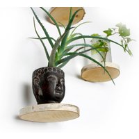 Schwebendes Rundes Regal, Birke Wandpflanzenhalter, Blumenampel Wandregal Schwebendes Rundes Regal, Birke Wandpflanzenhalter, Blumenampel Wandregal von HlzLaden