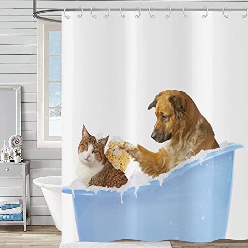 Hnmdmyi Duschvorhang Lustig 180x180, Badende Katze und Hund Duschvorhänge Kinder Niedliche Cartoon Tiere Blau Weiß Badewanne Vorhang Wasserdicht Polyester Stoff Waschbar Badevorhang mit Haken von Hnmdmyi