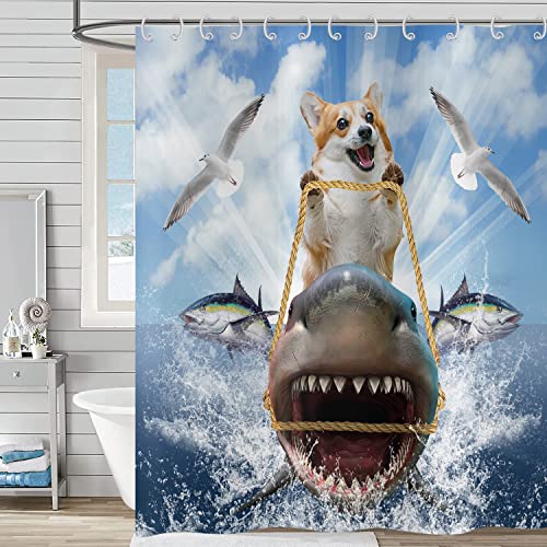 Hnmdmyi Duschvorhang Lustig 180x180, Cooler Hund Reitender Hai Duschvorhänge Ozean Meer Wellen Möwe Fisch Blau Niedliche Kinder Jungen Badewanne Vorhang Wasserdicht Stoff Waschbar Badevorhang von Hnmdmyi