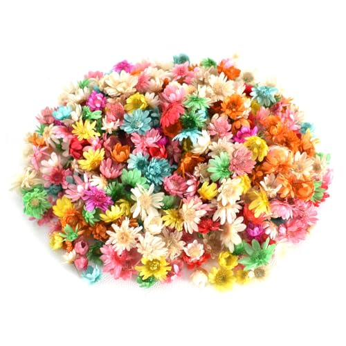 200 Stück Trockenblumen Deko, Mini Trockenblumen zum Basteln, Natürliche Getrocknete Blumen für Seife, Trockenblumen Klein für DIY Nagel Epoxid Kerze Scrapbookings (Helle Farbe) von Hnonoxy