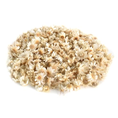 200 Stück Trockenblumen Deko, Mini Trockenblumen zum Basteln, Natürliche Getrocknete Blumen für Seife, Trockenblumen Klein für DIY Nagel Epoxid Kerze Scrapbookings (Natürliche Farbe) von Hnonoxy