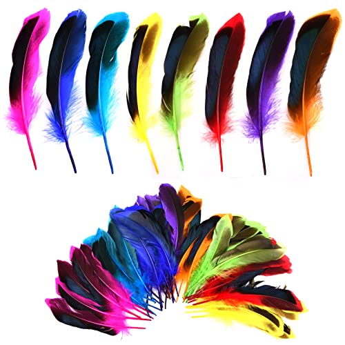 50Pcs Bunte natürliche Federn, Kunsthandwerk dekorative Gänsefedern, weiche Plume Flauschige Federn, sortierte Farbe Natur Federn für DIY Handwerk Hochzeit Haus Party Festivals Dekorationen von HoaaiGo