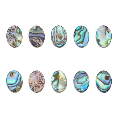 Hobbspring 10 Stück Natürliche Abalone Muschelperlen Flache Muschelperlen Paua Muschelperlen Ovale Abalone Muschelperlen Lose Abstandsperlen Für Die Herstellung von Ohrringen Halsketten Armbändern Hobbspring 10 Stück Natürliche Abalone Muschelperlen Flache Muschelperlen Paua Muschelperlen Ovale Abalone Muschelperlen Lose Abstandsperlen Für Die Herstellung von Ohrringen Halsketten Armbändern von Hobbspring
