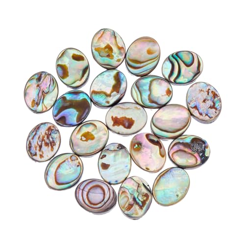 Hobbspring 20 Stück Natürliche Abalone Muschelperlen Paua Muschelperlen Flache Muschelperlen Ovale Abalone Muschelperlen Lose Abstandsperlen Für Die Herstellung von Ohrringen Halsketten Armbändern Hobbspring 20 Stück Natürliche Abalone Muschelperlen Paua Muschelperlen Flache Muschelperlen Ovale Abalone Muschelperlen Lose Abstandsperlen Für Die Herstellung von Ohrringen Halsketten Armbändern von Hobbspring