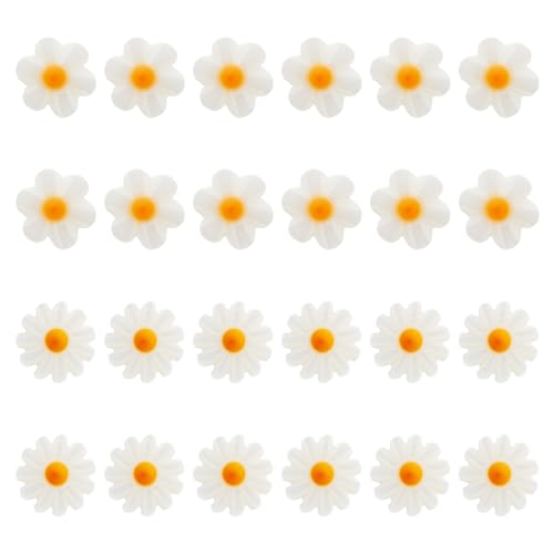 Hobbspring 24 Stück Natürliche Blumen Muschelperlen 2 Stile Gänseblümchen Muschel Lose Abstandsperlen Süßwasser Gänseblümchen Perlen Für Schmuck Halsketten Armbänder Ohrringe DIY Handwerk von Hobbspring