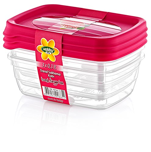 Hobby Life 0,3 l, 3-teilig Trend, Kunststoff, rechteckig, Aufbewahrungsbox Box-Set, Transparent von Hobby Life