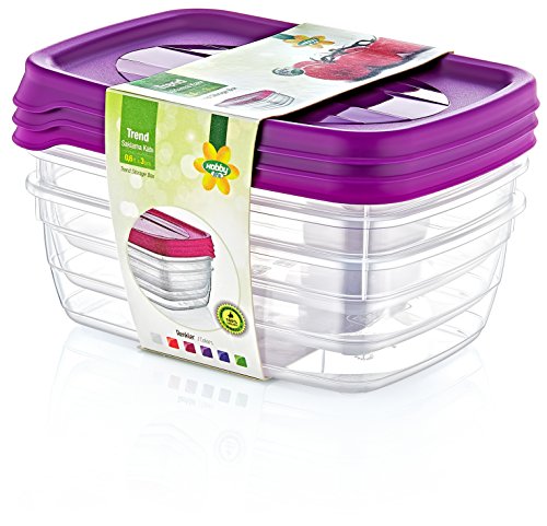 Hobby Life 0,6 l, 3-teilig, Trend, rechteckig, Aufbewahrungsbox, Set, Transparent von Hobby Life