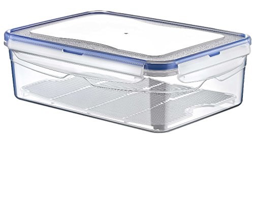 Hobby Life 0.4 Liter, aus Plastik, rechteckig, luftdicht, Food Saver Box, Transparent von Hobby Life