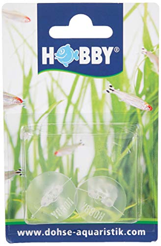 HOBBY Aquaristik Krallensauger I 2 Stück I Praktisches Zubehörteil als Ersatz und für Bastler HOBBY Aquaristik Krallensauger I 2 Stück I Praktisches Zubehörteil als Ersatz und für Bastler von Hobby