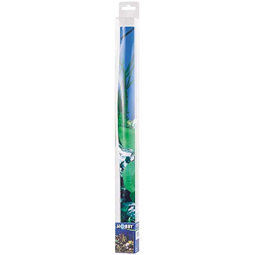 Hobby 31010 Fotorückwand-Zuschnitt Spring / Moss von Hobby