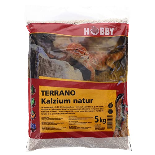 Hobby 34085 Terrano Wüstensand, Natur, Durchmesser 0,1-0,4 mm, 5 kg von Hobby