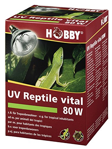 Hobby 37317 UV-Reptile vital Tropic, 80 W von Hobby