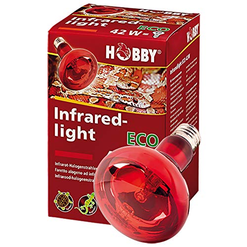 Hobby 37580 Infraredlight Eco, 28 W, 1 Stück (1er Pack) von Hobby