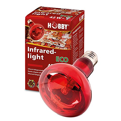 Hobby 37584 Infraredlight Eco, 70 W Hobby 37584 Infraredlight Eco, 70 W von Hobby