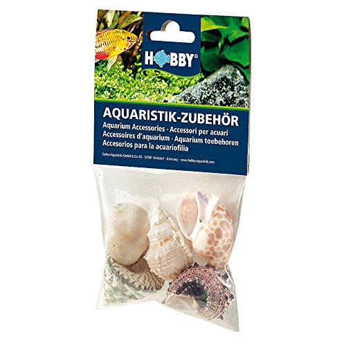 Hobby 40224 Sea Shells Set, L von Hobby