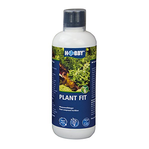 Hobby 41062 Plant Fit 250 ml von Hobby