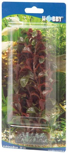 Hobby 41514 Rotala, 16 cm Hobby 41514 Rotala, 16 cm von Hobby