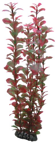 HOBBY Aquaristik Ludwigia I 34 cm I künstliche Aquarienpflanze I pflegeleichte Aquarium Deko I naturgetreue Dekoration für Süßwasseraquarien I Wasserpflanze aus Kunststoff HOBBY Aquaristik Ludwigia I 34 cm I künstliche Aquarienpflanze I pflegeleichte Aquarium Deko I naturgetreue Dekoration für Süßwasseraquarien I Wasserpflanze aus Kunststoff von Hobby