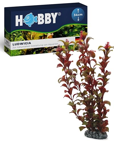 HOBBY Aquaristik Ludwigia I 34 cm I künstliche Aquarienpflanze I pflegeleichte Aquarium Deko I naturgetreue Dekoration für Süßwasseraquarien I Wasserpflanze aus Kunststoff HOBBY Aquaristik Ludwigia I 34 cm I künstliche Aquarienpflanze I pflegeleichte Aquarium Deko I naturgetreue Dekoration für Süßwasseraquarien I Wasserpflanze aus Kunststoff von Hobby