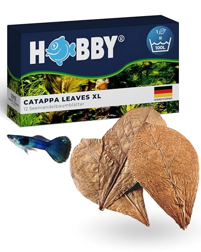 Hobby 51105 Catappa Leaves, XL, 12 Stück Hobby 51105 Catappa Leaves, XL, 12 Stück von Hobby