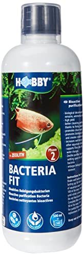 Hobby 51142 Bacteria Fit 500 ml von Hobby