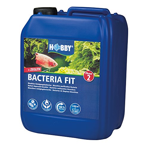 Hobby 51144 Bacteria Fit 5.000 ml von Hobby