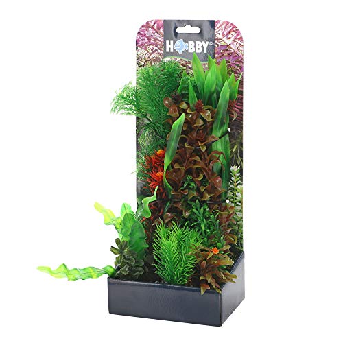 Hobby 51485 Kunstpflanzenset Plantasy Set 6 von Hobby